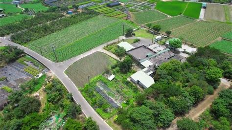 賴家兄弟地瓜田|卓衍豪／“汪汪地瓜園”──堅忍的番薯，共好的金山